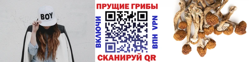 Галлюциногенные грибы прущие грибы Болгар