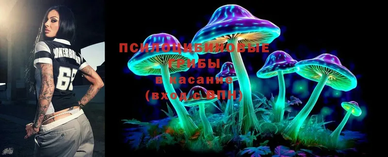 блэк спрут как войти  Болгар  Галлюциногенные грибы Psilocybe 